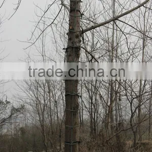 Chinese Manufacturer Freedom Aluminum Tree Climbing Equipment thumbnail-2