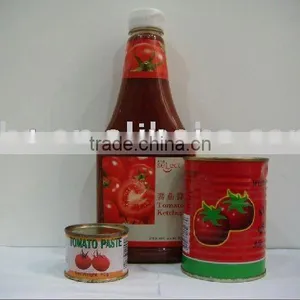 Tomato Ketchup In Plastic Bottle thumbnail-1