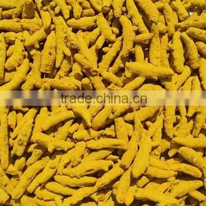 Double Polished Turmeric Fingers thumbnail-2