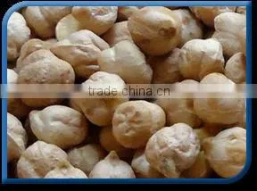 Chick Peas thumbnail-1