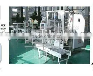 Automatic Case Packer Packing Machine thumbnail-1