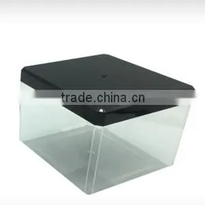 CH9560 Food Grade Clear PS Plastic Cookies Container Cookies Box thumbnail-2