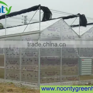 Venlo Greenhouse thumbnail-1