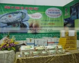 Vietfarm Co., Ltd company overview - view 3 thumbnail