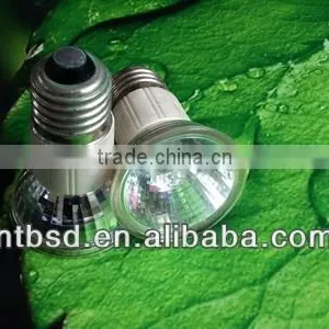 JDR Halogen Lamp thumbnail-1