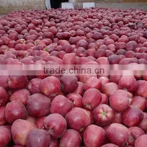 Red Delicious Apple thumbnail-4