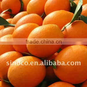 Hot Sale Navel Orange thumbnail-1