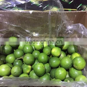 FRESH SEEDLESS LIME thumbnail-1