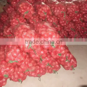 Wholesale Fresh Yellow Onion With Good Quality thumbnail-2