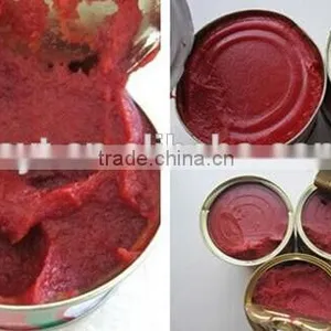Canned Tomato Paste 4.5 kg Canned Tomato Paste 2.2 kg thumbnail-3