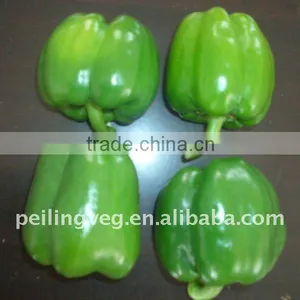 Chinese Fresh Bell Pepper thumbnail-1