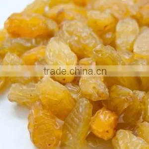 INDIAN EXPORTER YELLOW RAISIN thumbnail-4