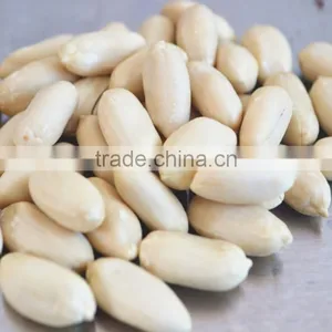 Groundnut Blanched Peanuts From Chinese Plant thumbnail-1