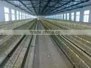 Animal Husbandry Equipment thumbnail-1