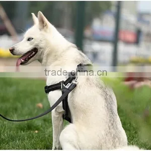 Wholesale Pet Collar Making Supplies / Pet Dog Leash Chain and Harness thumbnail-2
