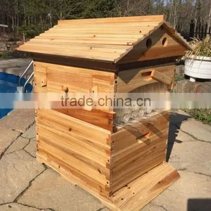 Beehive Box , Super Quality Flowhive Box ,beehive for Sale.flowhive With Flow Frame thumbnail-4