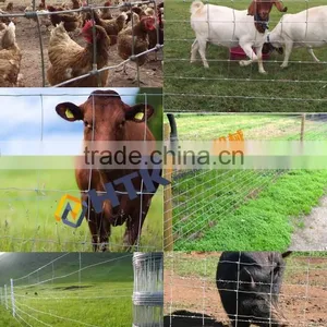 Factory Direct Sale High Tensile Strength Galvanized Football Field Fence thumbnail-4
