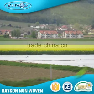 Promotion Product Agriculture Ground Cover Pp Spunbond Non Woven Cloth thumbnail-1
