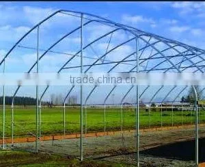 Plastic Greenhouse Single Span Greenhouse Structure thumbnail-1