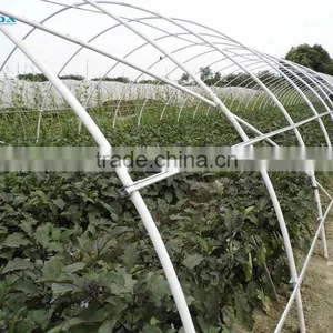 Tunnel Greenhouse thumbnail-6