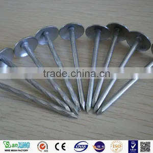 Q195 Umbrella Head Twist Shank Roofing Nails thumbnail-1