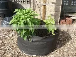 Nonwoven Grow Pot Hydro for Flower System Smart Non Woven Plant Bag (1 Gal to 1200 Gal) thumbnail-3
