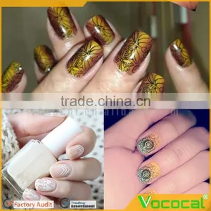 DIY Nail Art Design Stamping Manicure Image Print Plates Stencil Template Nail Polish Tool thumbnail-1