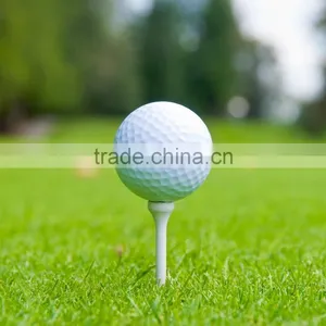 Professional Tournament Golf Ball thumbnail-1