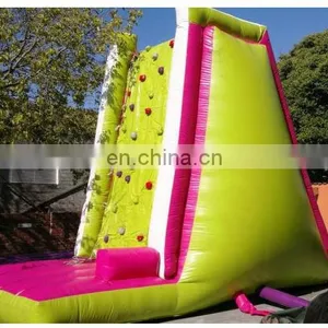 2013 Inflatable Climbing Wall, Inflatalbe Rocker Climbing thumbnail-1