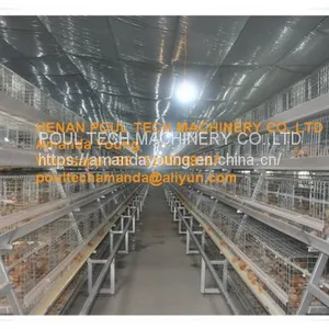 Ecuador Poultry Farming Baby Chick Cage & A Frame Automatic Small Chicken Cage & Pullet Coop With Feed Trough for 5000 Chicks in Chicken Shed thumbnail-2