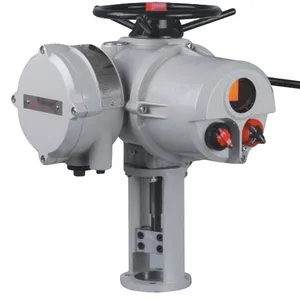 IQ+VE Direct Stroke Electric Actuator thumbnail-2