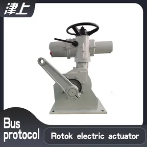 Partial Rotary Electric Actuator IQ70+BC8 Electronic Electric Actuator thumbnail-1