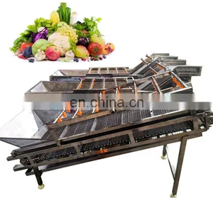 Date Palm Washing Machine Fruits and Vegetables Washing Machine Zone Bubble Washing Machine thumbnail-5