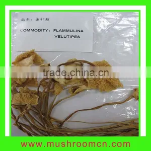 2012 New Crop Flammulina Velutipe thumbnail-1