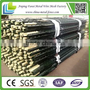 USA Standard Green Painted t Post Wholesale thumbnail-2