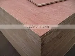 Bintangor Plywood/Keruing Plywood/Sapele Plywood/Agathis Plywood thumbnail-3