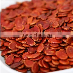 Hybrid Red Watermelon Seed thumbnail-1