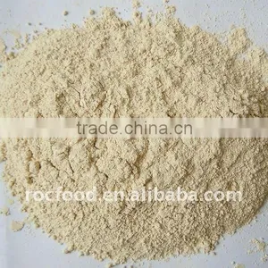 Dehydrated Garlic Powder thumbnail-1