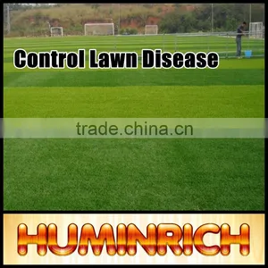 FAQ 15--How To Control Lawn Disease? thumbnail-4