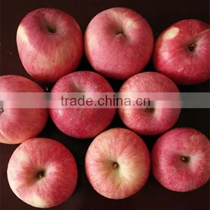 Top Fresh Fuji Apple for Indian Delicious Fuji Apple thumbnail-5