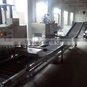 Pilipit Production Line Philippines Food Machine Fried Snack Food Machine thumbnail-3