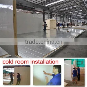 Standard Walk in Chiller Room for Grape Refrigerated Storage thumbnail-5