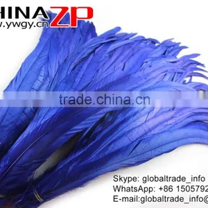 Leading Supplier CHINAZP Wholesale Colored Royal Blue Chicken Fully Dyed Roosters Feathers for Show thumbnail-4