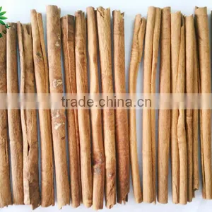 20cm Cinnamon Stick thumbnail-1