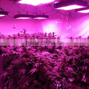 600w/1000w Led Grow Light Full Spectrum Certificate for Hydroponic Indoor Plants Growing thumbnail-4