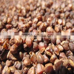 Chinese Origin Roasted Buckwheat thumbnail-1