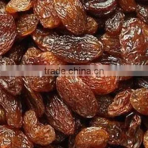 Sultana Raisin- Premiun Quality ,LOWEST PRICE thumbnail-1