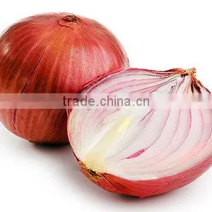RED ONION CROPS 2015 thumbnail-1