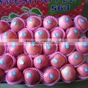 China Fresh Fruit thumbnail-3