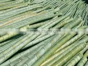 Construction Building Material Bamboo thumbnail-2